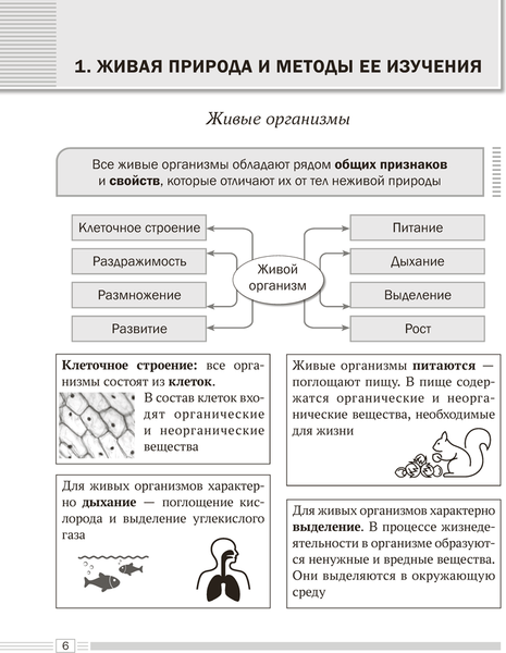 Изображение товара Учебное пособие Аверсэв Биология. 6 класс. Опорные конспекты. 2025, мягкая обложка (Лисов Николай)