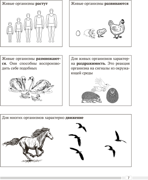 Изображение товара Учебное пособие Аверсэв Биология. 6 класс. Опорные конспекты. 2025, мягкая обложка (Лисов Николай)