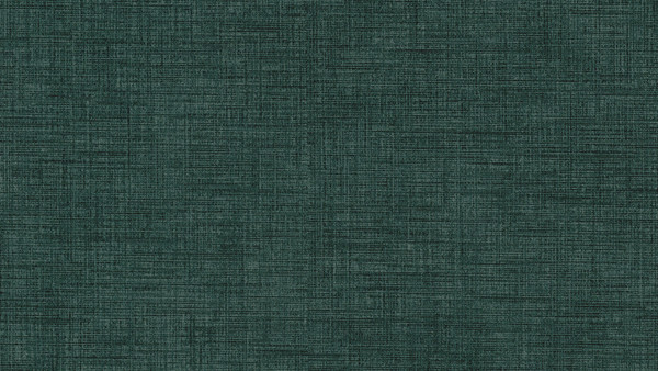 Изображение товара Полуторная кровать Moon Family 1262 / MF012690