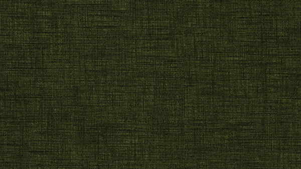 Изображение товара Полуторная кровать Moon Family 1262 / MF012731