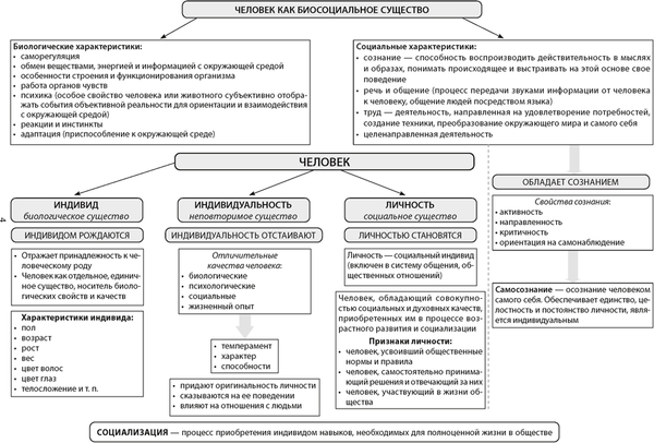 Изображение товара Учебное пособие Аверсэв Обществоведение в логич. схемах. ЦЭ/ЦТ. 2025, мягкая обложка (Кушнер Надежда)