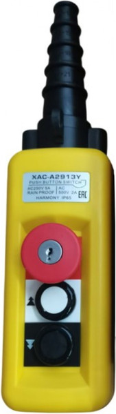 Изображение товара Пульт управления для тали электрической TOR XAC-A2913Y / 1049278