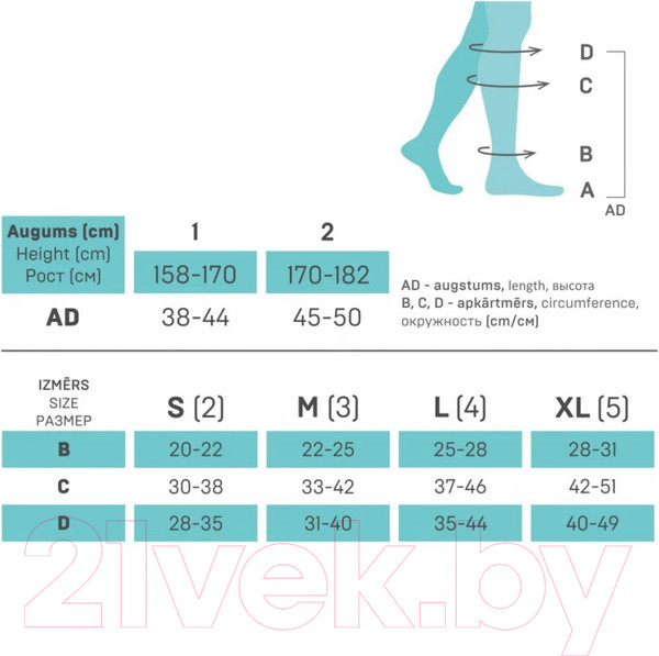 Изображение товара Гетры спортивные Tonus Elast 0408-02 Active 1кк Рост 1 Р2 (серый/черный)