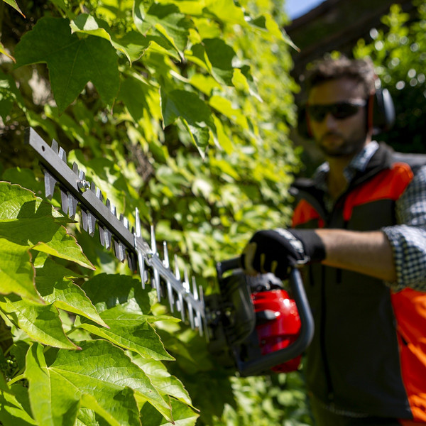 Изображение товара Кусторез бензиновый Efco TG 2470 P (58099021E2)