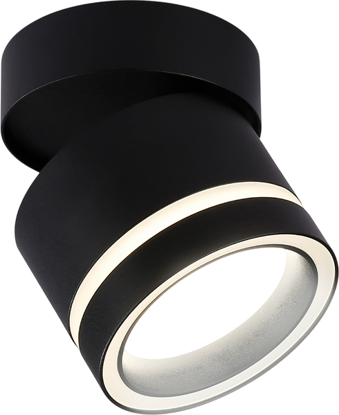 Изображение товара Спот Ambrella TA1445 BK/FR (черный/белый матовый)