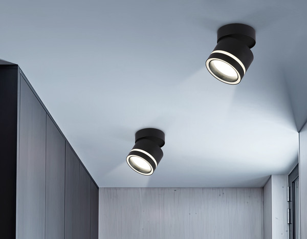 Изображение товара Спот Ambrella TA1445 BK/FR (черный/белый матовый)