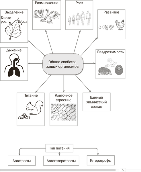 Изображение товара Учебное пособие Аверсэв Биология. 7 класс. Опорные конспекты 2025, мягкая обложка (Лисов Николай)