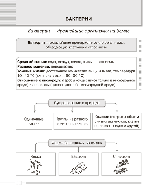 Изображение товара Учебное пособие Аверсэв Биология. 7 класс. Опорные конспекты 2025, мягкая обложка (Лисов Николай)