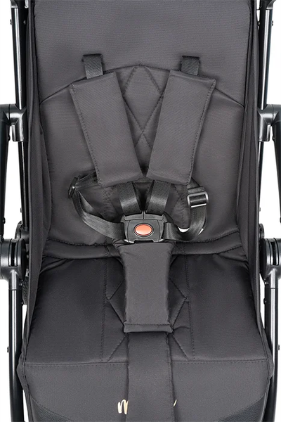 Изображение товара Детская прогулочная коляска Farfello Magic FM-03 (черный)