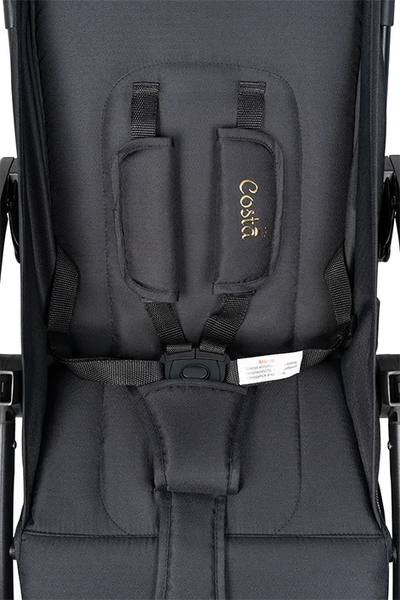 Изображение товара Детская прогулочная коляска Costa Rio / CR-1 (черное золото)