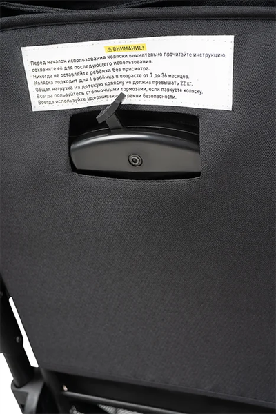 Изображение товара Детская прогулочная коляска Costa Rio / CR-1 (черное золото)