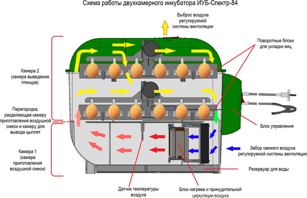 Изображение товара Инкубатор для животных Спектр-Прибор 84