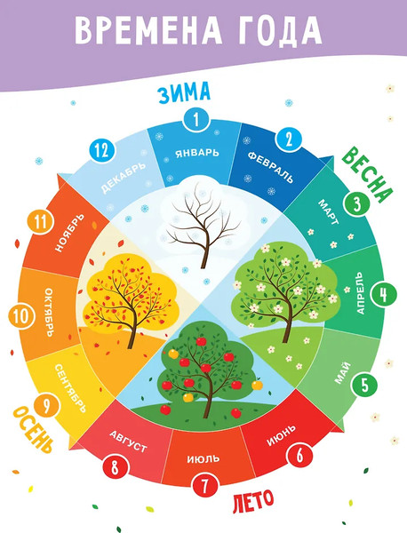 Изображение товара Комплект учебных плакатов АСТ Все что нужно знать (Дмитриева В. 9785171720193)