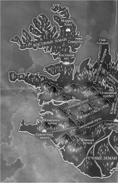 Изображение товара Книга FreeDom Дом некромантов, твердая обложка (Пау Прето Ники)