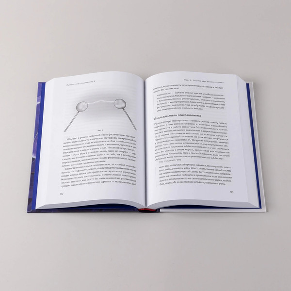 Изображение товара Книга Альпина Путешествие к подлинному Я, твердая обложка (Россохин Андрей)