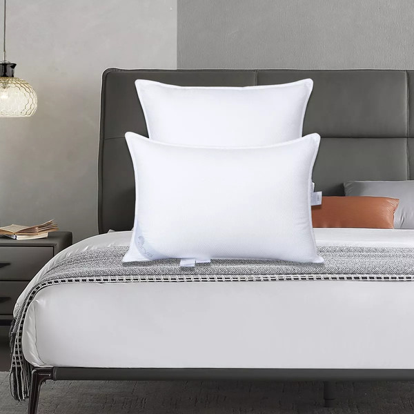 Изображение товара Подушка для сна Arya Aestheticism 3D Seersucker 50x70 / 8680943247636 (белый)