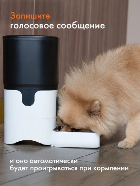 Изображение товара Кормушка автоматическая для животных Sundays HWN250303-1