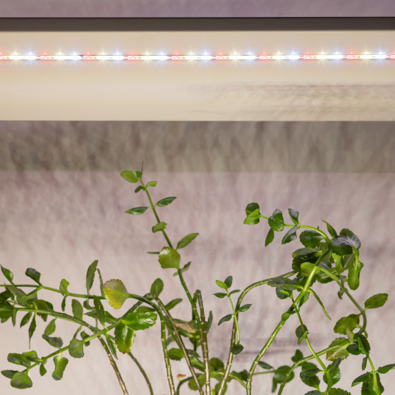 Изображение товара Светильник для растений ЭРА FITO-Strip Light-Rа90-27W-3m-12V-IP65 / Б0064597
