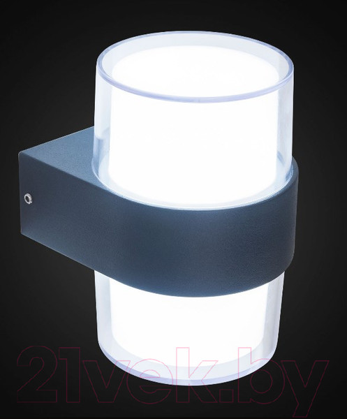 Изображение товара Светильник уличный Citilux CLU0009R