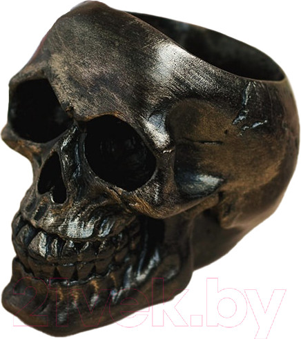 Изображение товара Кашпо Нашы майстры Череп 1121 (декорированное)