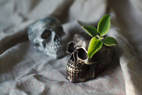 Изображение товара Кашпо Нашы майстры Череп 1121 (декорированное)