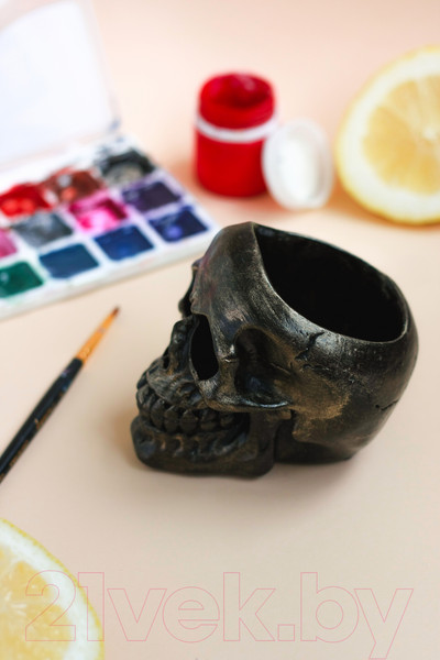 Изображение товара Кашпо Нашы майстры Череп 1121 (декорированное)
