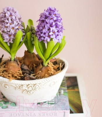 Изображение товара Кашпо Нашы майстры Розы в шебби 1059 (декорированное)