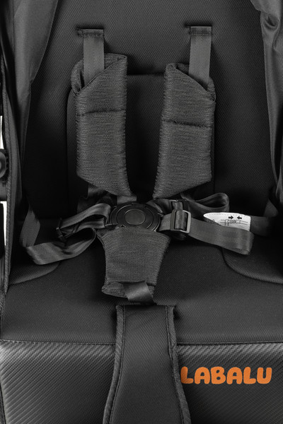 Изображение товара Детская прогулочная коляска Labalu Dream D9 (черный)