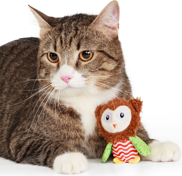 Изображение товара Игрушка для кошек ZooZooZoo Испуганная Сова 39051/ZZ