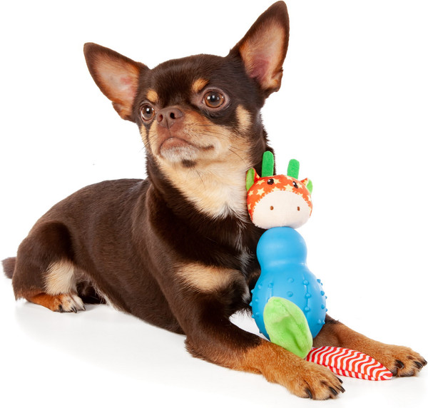 Изображение товара Игрушка для собак ZooZooZoo Жирафик Джолли 39042/ZZ