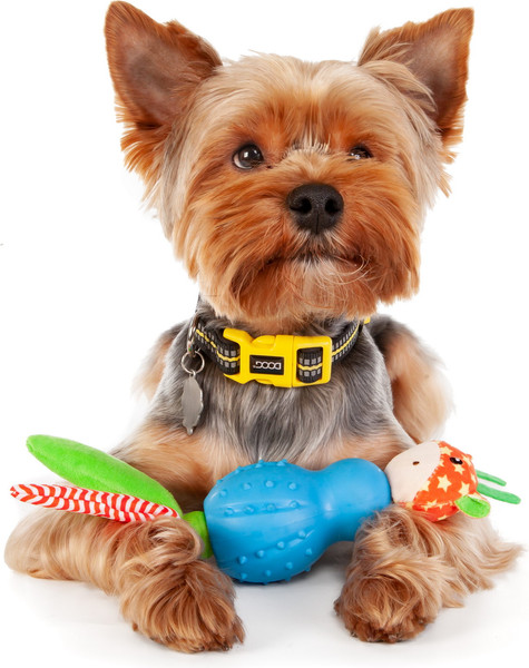 Изображение товара Игрушка для собак ZooZooZoo Жирафик Джолли 39042/ZZ