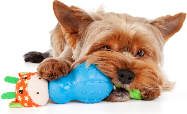 Изображение товара Игрушка для собак ZooZooZoo Жирафик Джолли 39042/ZZ