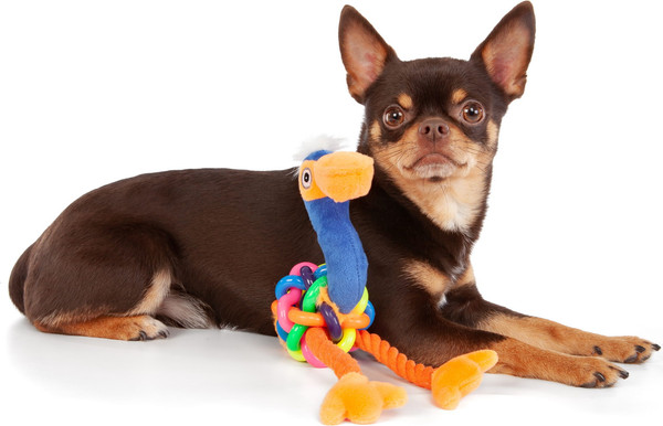 Изображение товара Игрушка для собак ZooZooZoo Фламинго Мини 39028/ZZ