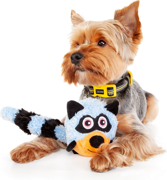 Изображение товара Игрушка для собак ZooZooZoo Енот 39152/ZZ (голубой)