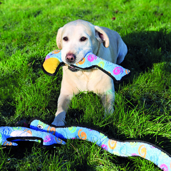 Изображение товара Игрушка для собак ZooZooZoo Змейка 39143/ZZ (фиолетовый)