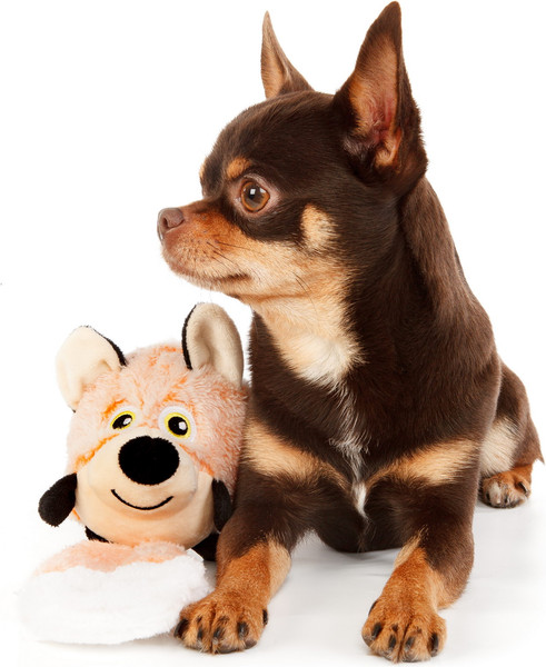 Изображение товара Игрушка для собак ZooZooZoo Лиса 39151/ZZ (оранжевый)