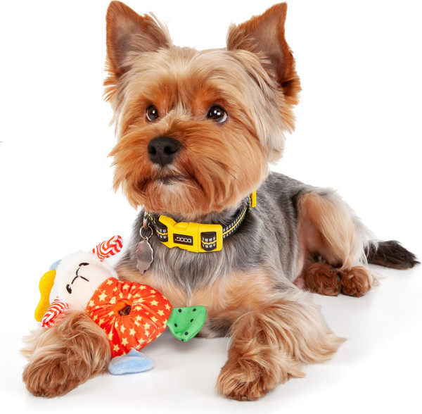 Изображение товара Игрушка для собак ZooZooZoo Овечка Лафи 39044/ZZ