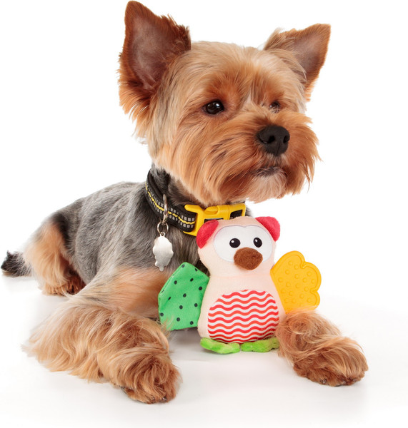 Изображение товара Игрушка для собак ZooZooZoo Сова Вайзи 39045/ZZ