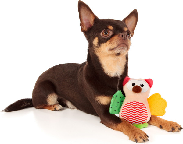 Изображение товара Игрушка для собак ZooZooZoo Сова Вайзи 39045/ZZ