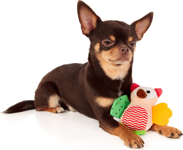 Изображение товара Игрушка для собак ZooZooZoo Сова Вайзи 39045/ZZ