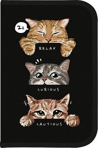 Изображение товара Пенал Schoolformat Три кота / ПТК1-ТК (черный)