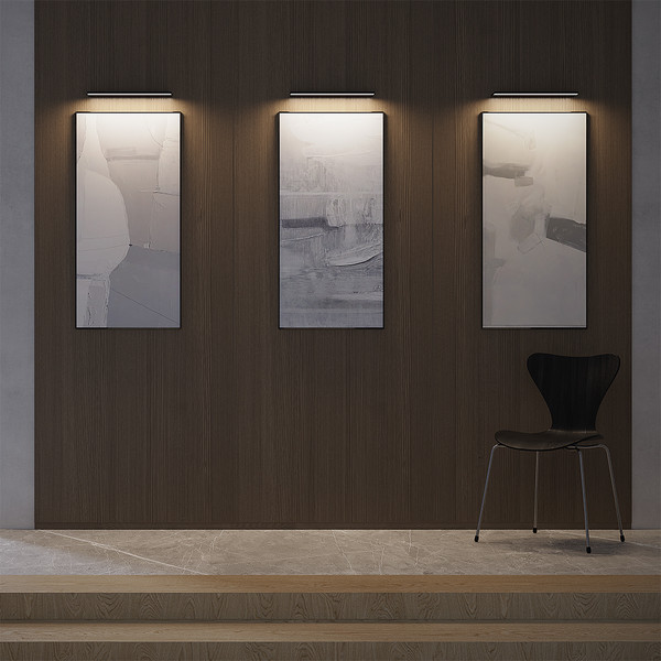 Изображение товара Подсветка для картин и зеркал Maytoni Shine C033WL-L12B3K (черный)