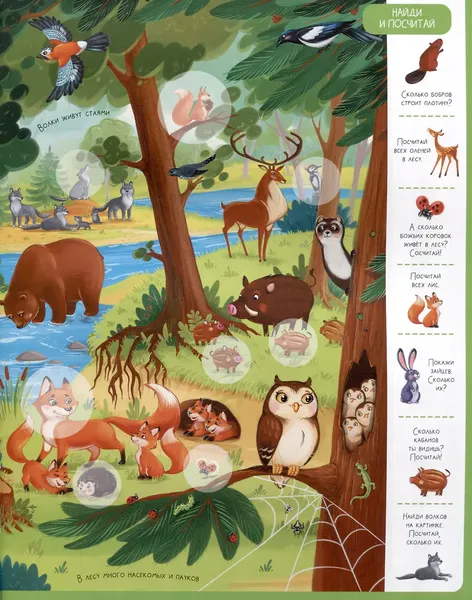 Изображение товара Развивающая книга Malamalama Виммельбух с наклейками. Животные, мягкая обложка