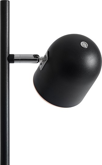 Изображение товара Торшер Freya Unique FR5279FL-L7B