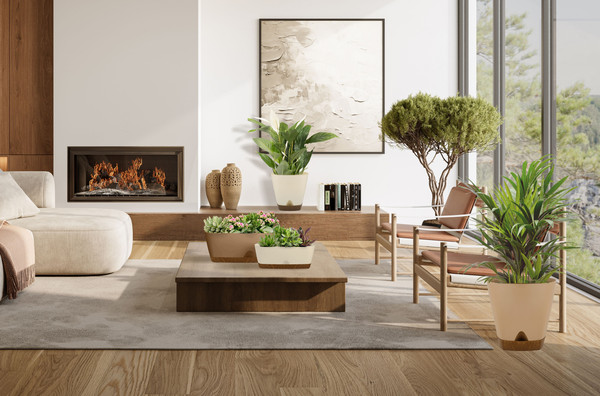 Изображение товара Ящик для рассады Ingreen Wood IG610510047