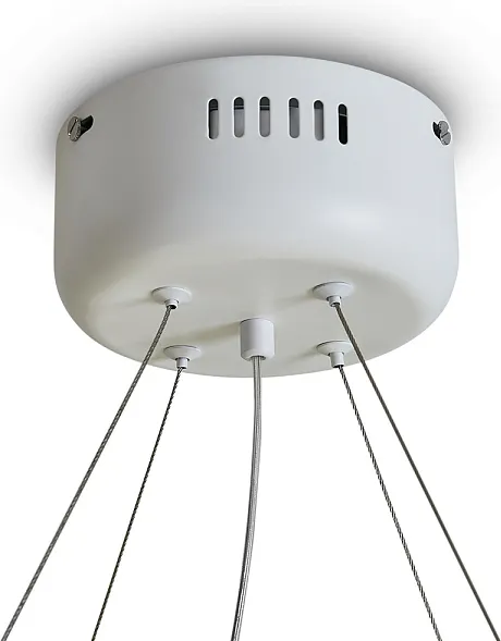 Изображение товара Потолочный светильник Freya Rain FR5546PL-L60W