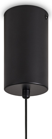 Изображение товара Потолочный светильник Freya Acoustic FR5494PL-L9TR