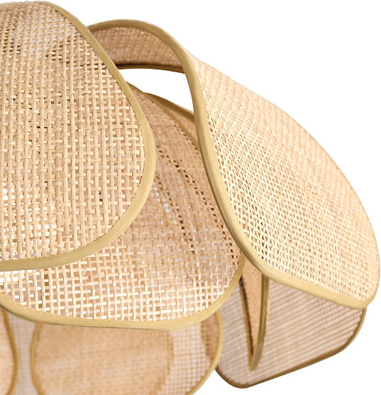 Изображение товара Потолочный светильник Freya Cocoon FR5529PL-01B