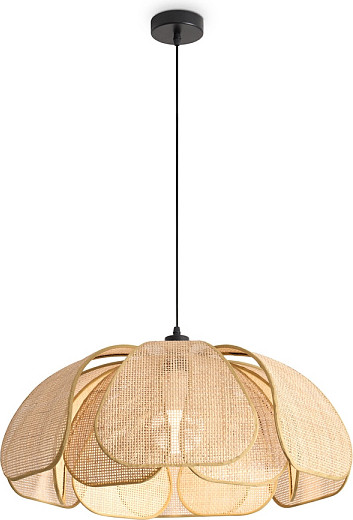 Изображение товара Потолочный светильник Freya Cocoon FR5529PL-01B