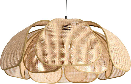 Изображение товара Потолочный светильник Freya Cocoon FR5529PL-01B